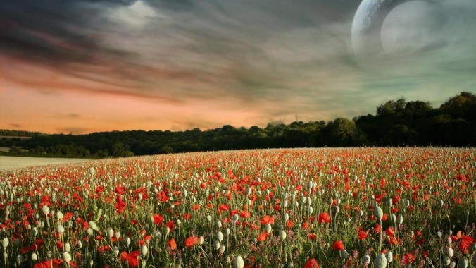 如何看待湖北一医院婚检查出艾滋医生未告知伴侣致感染，医生被停职？反映出哪些问题？